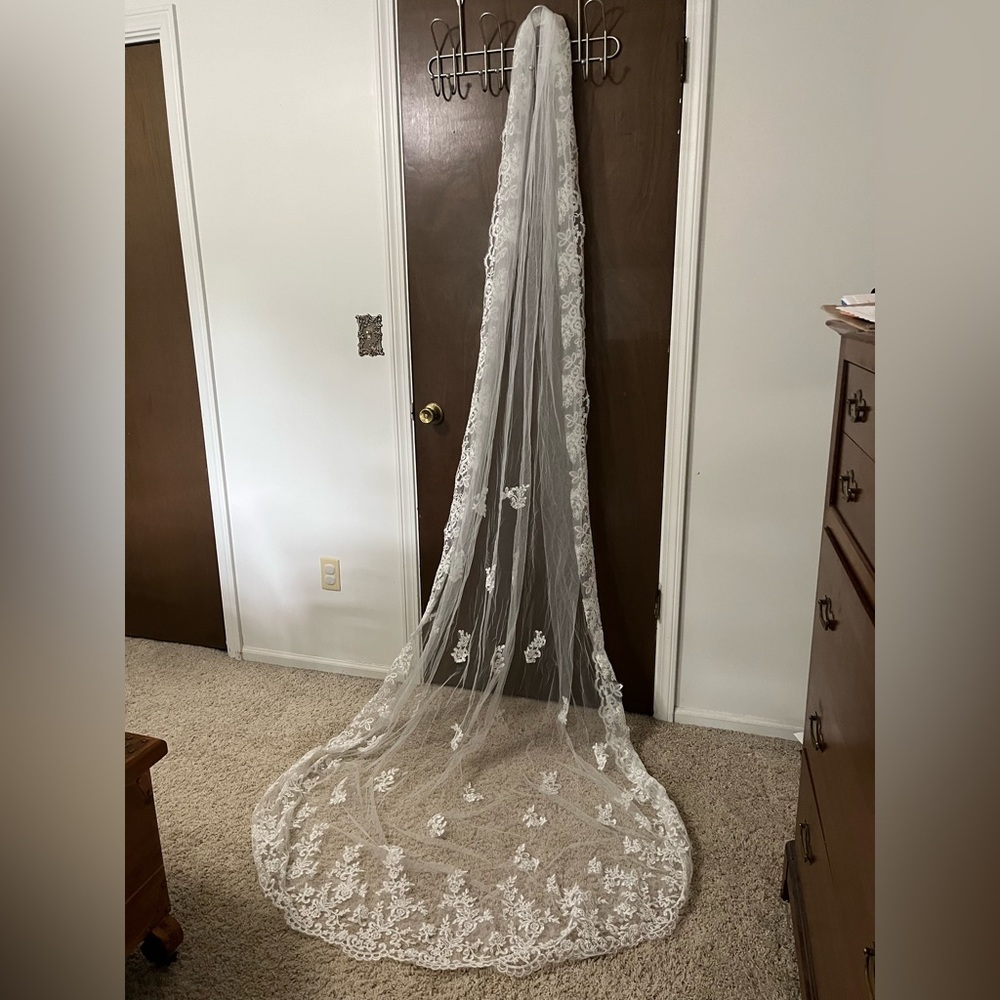 Cathedral Length Bridal Veil with lace details